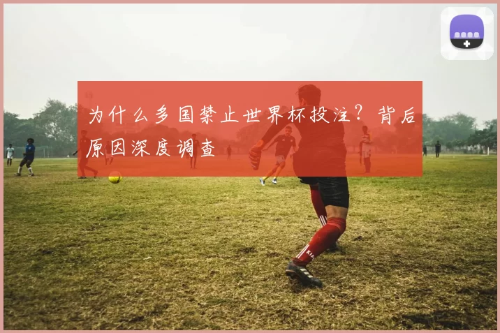 为什么多国禁止世界杯投注？背后原因深度调查