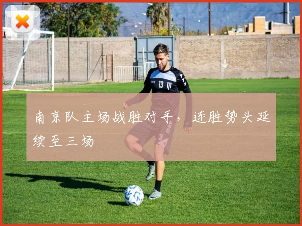 南京队主场战胜对手,连胜势头延续至三场