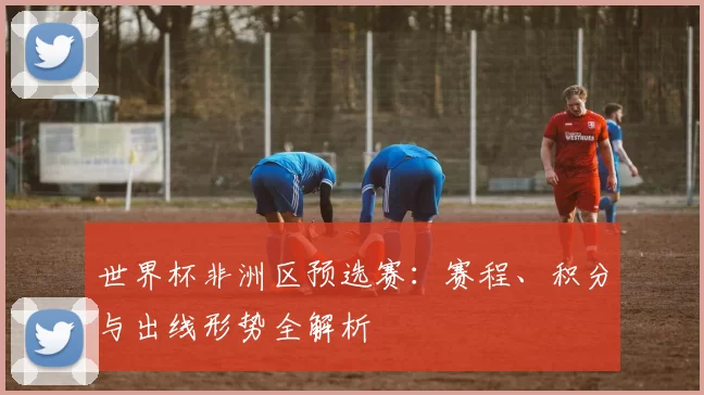 世界杯非洲区预选赛:赛程、积分与出线形势全解析