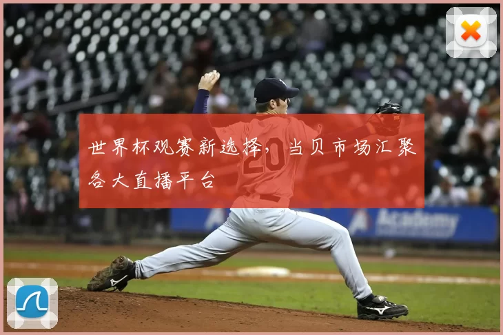 世界杯观赛新选择，当贝市场汇聚各大直播平台